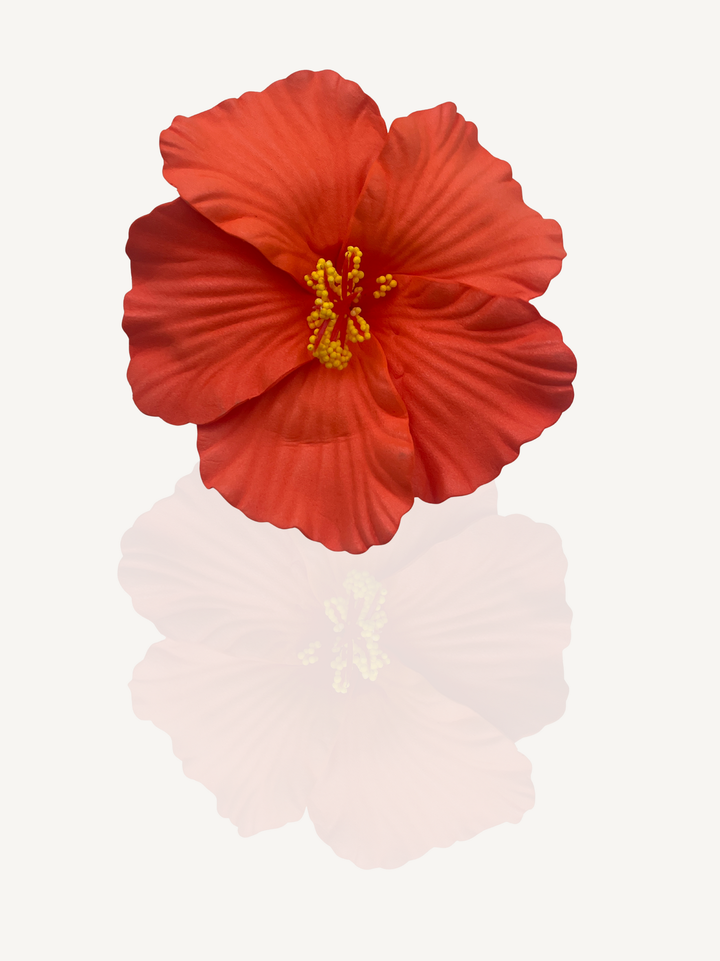 Clementine Hair Clip close-up on white background – summer floral clip